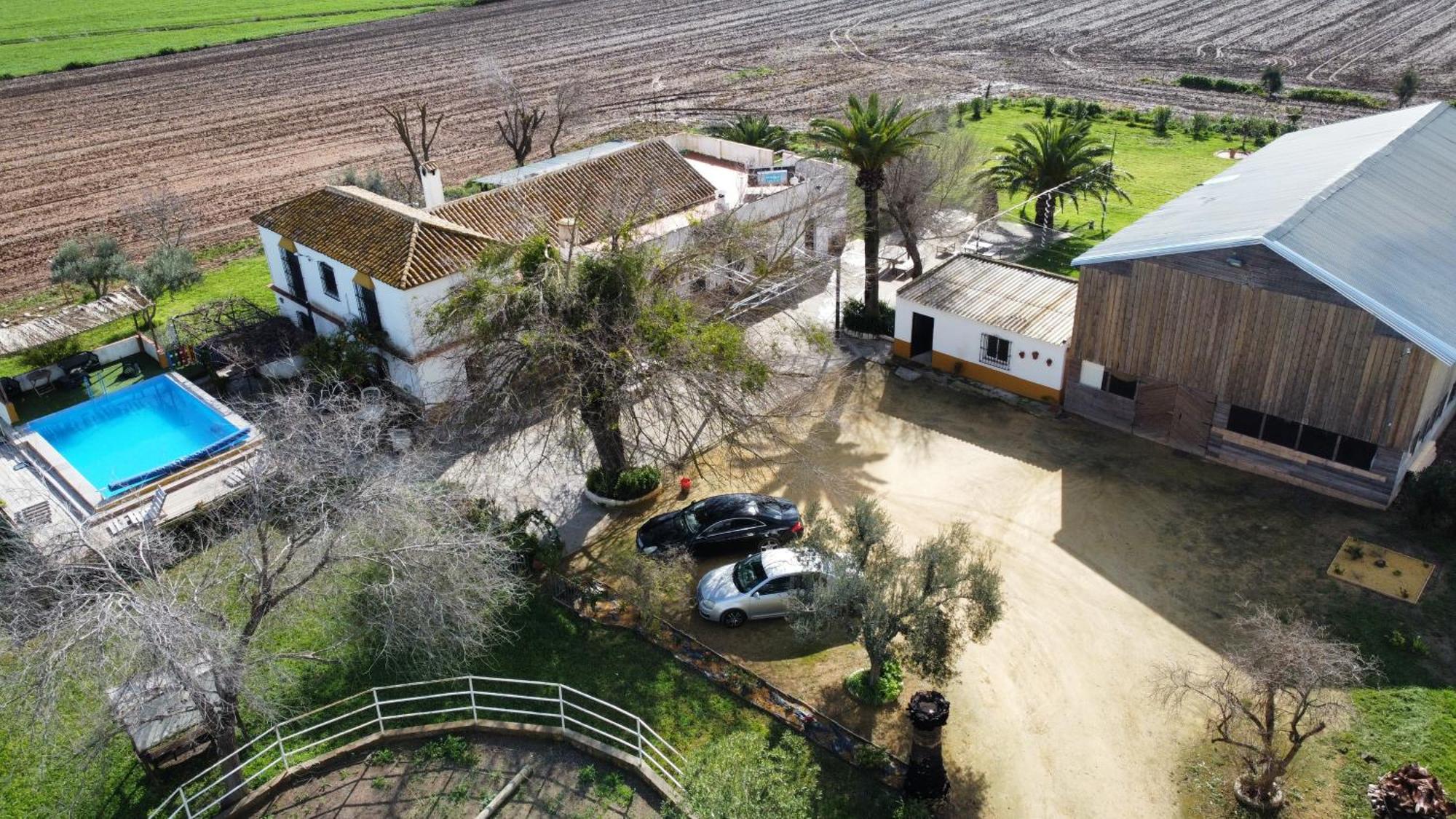 הוילה Alcalá de Guadaira Rancho Jardines De Marchenilla מראה חיצוני תמונה